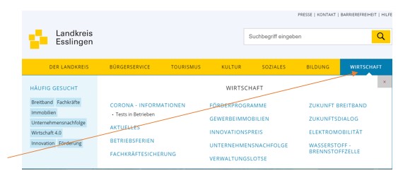 Screenshot der Startseite zu Wirtschaft